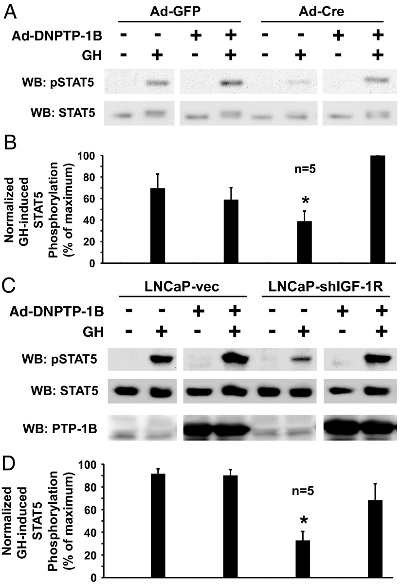 Figure 5.