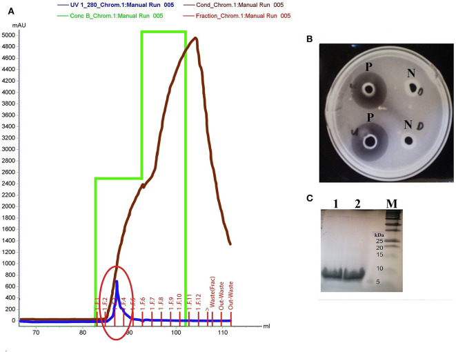 Figure 2