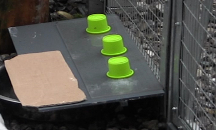 Figure 2 Experimental set-up