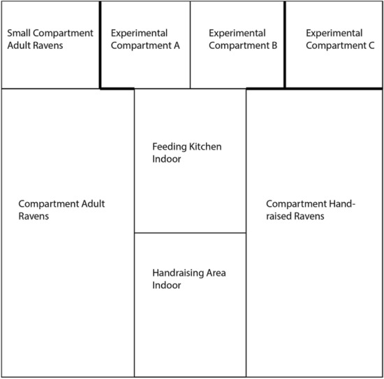Figure 1 The raven aviaries