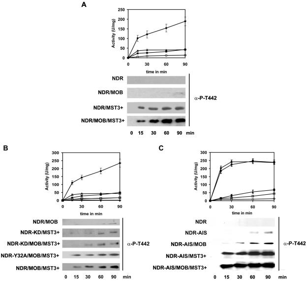 FIG. 2.