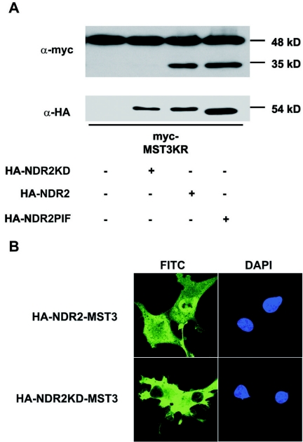 FIG. 9.