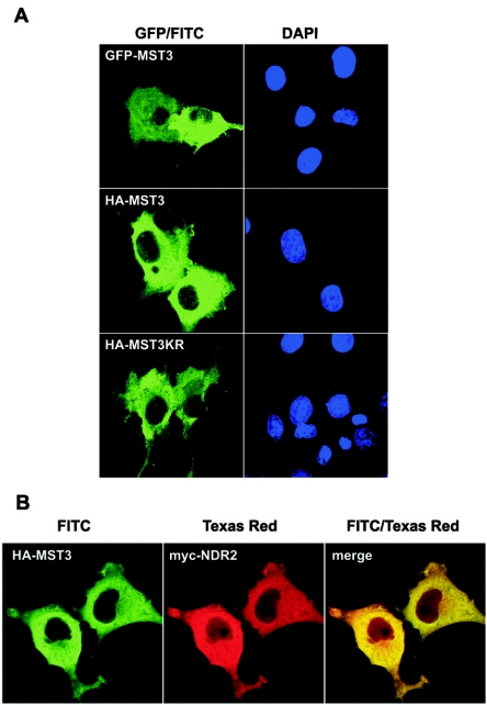 FIG. 7.