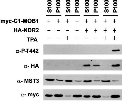 FIG. 8.