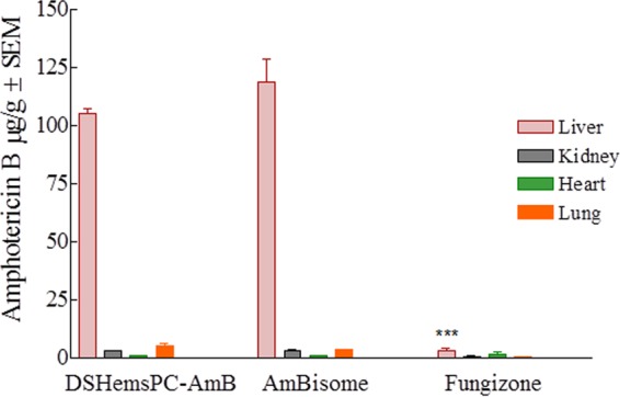 FIG 6