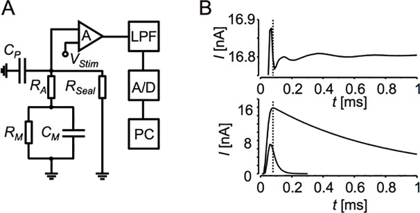 Fig 1