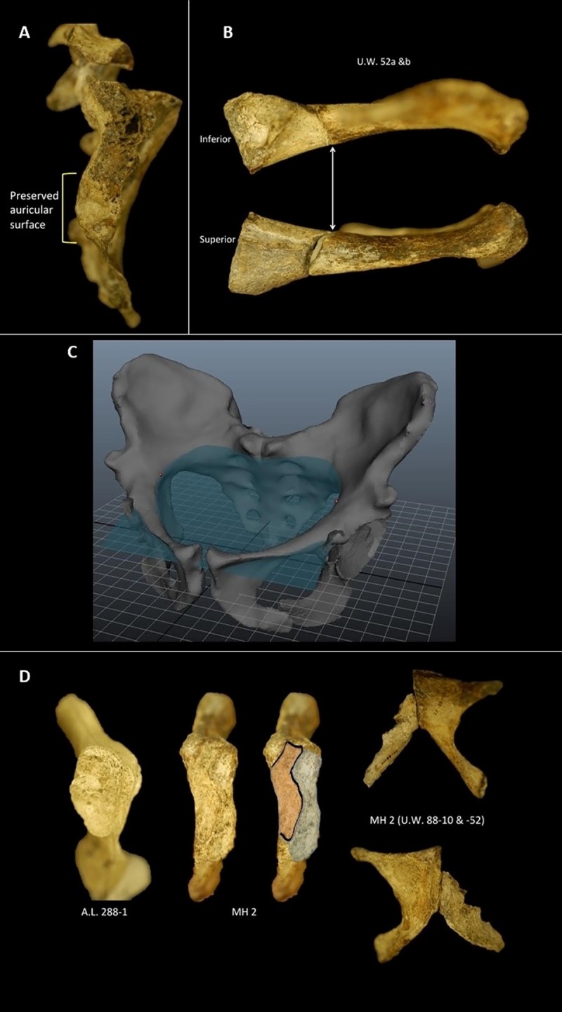 Fig 2