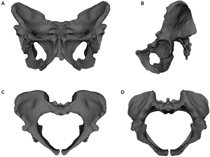 Fig 1