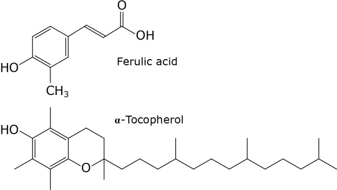 Fig. 1.