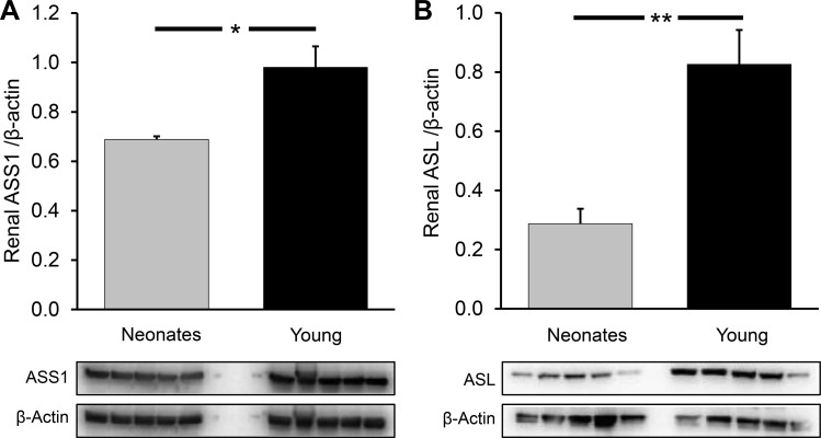 Fig. 9.