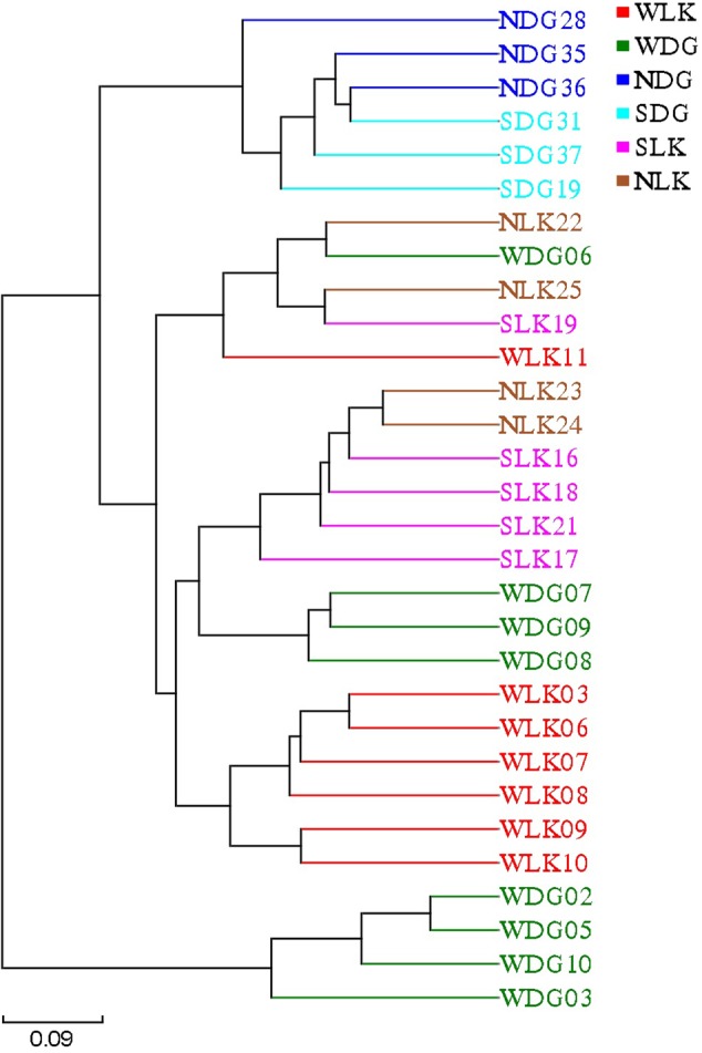 FIGURE 5