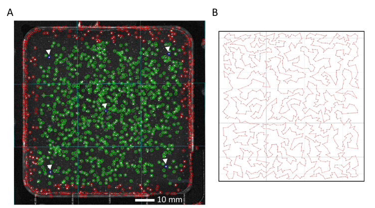 Fig. 2.