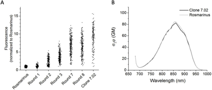 Fig. 4.