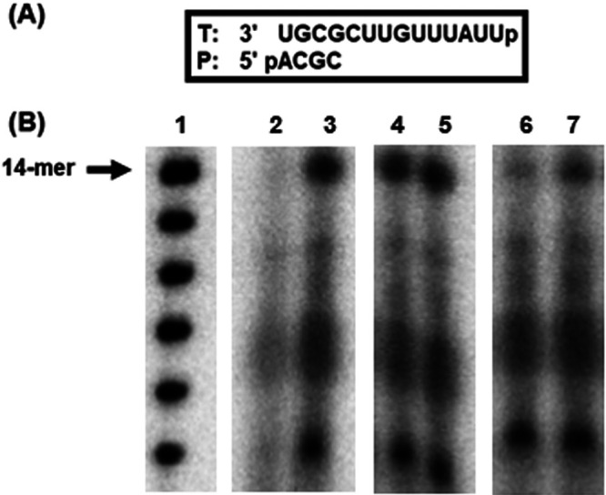 FIG 4