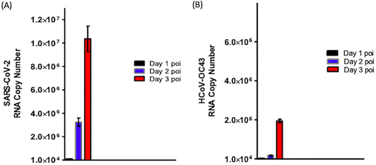 FIG 2