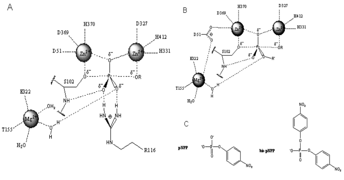 Fig. (2)