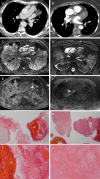 Fig 6