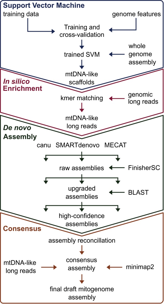 Fig. 1.