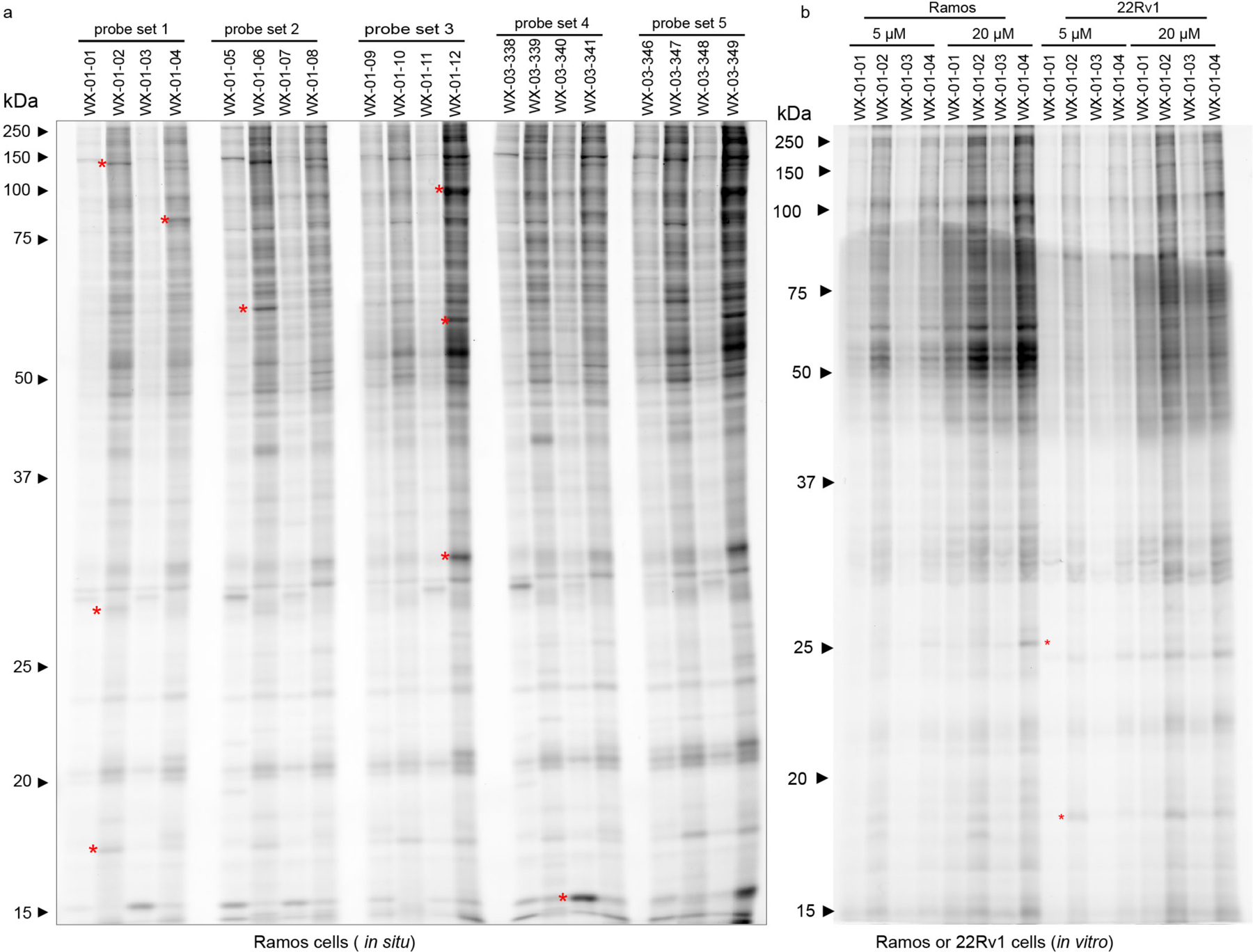 Extended Data Fig. 1