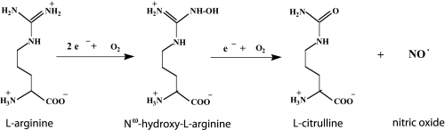 REACTION 1