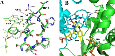 FIGURE 2.