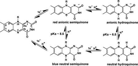 FIGURE 1.