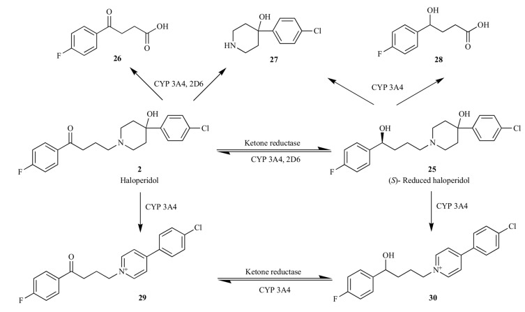 Fig. (3)