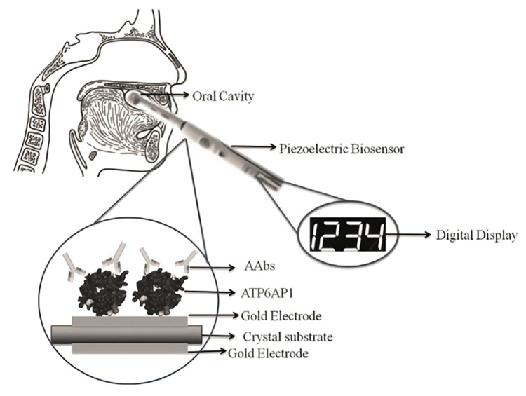 Figure 11