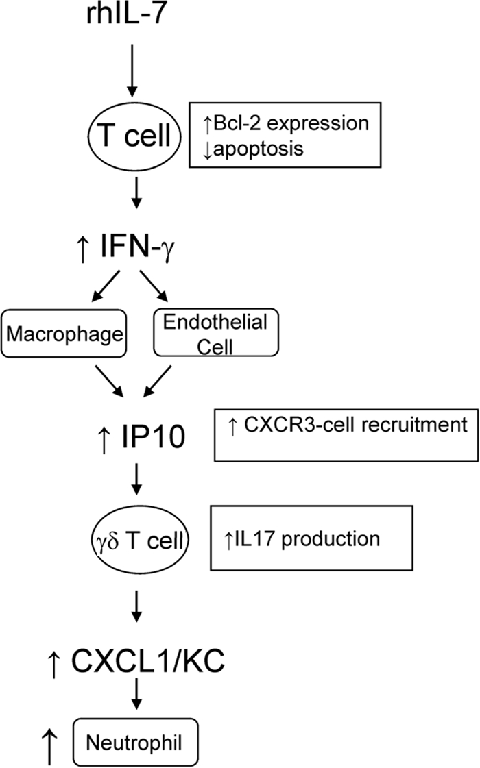 FIG. 8.