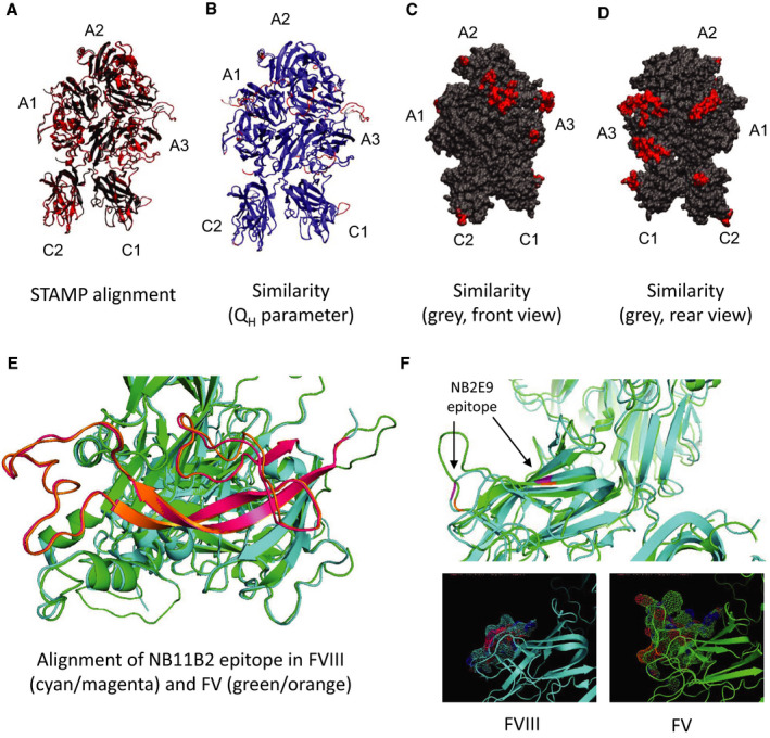 FIGURE 2