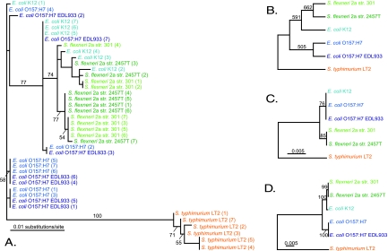 FIG. 4.