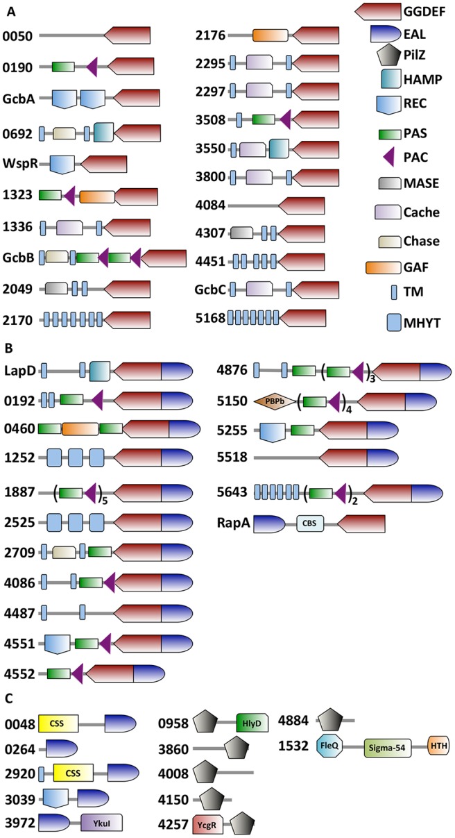 FIG 1