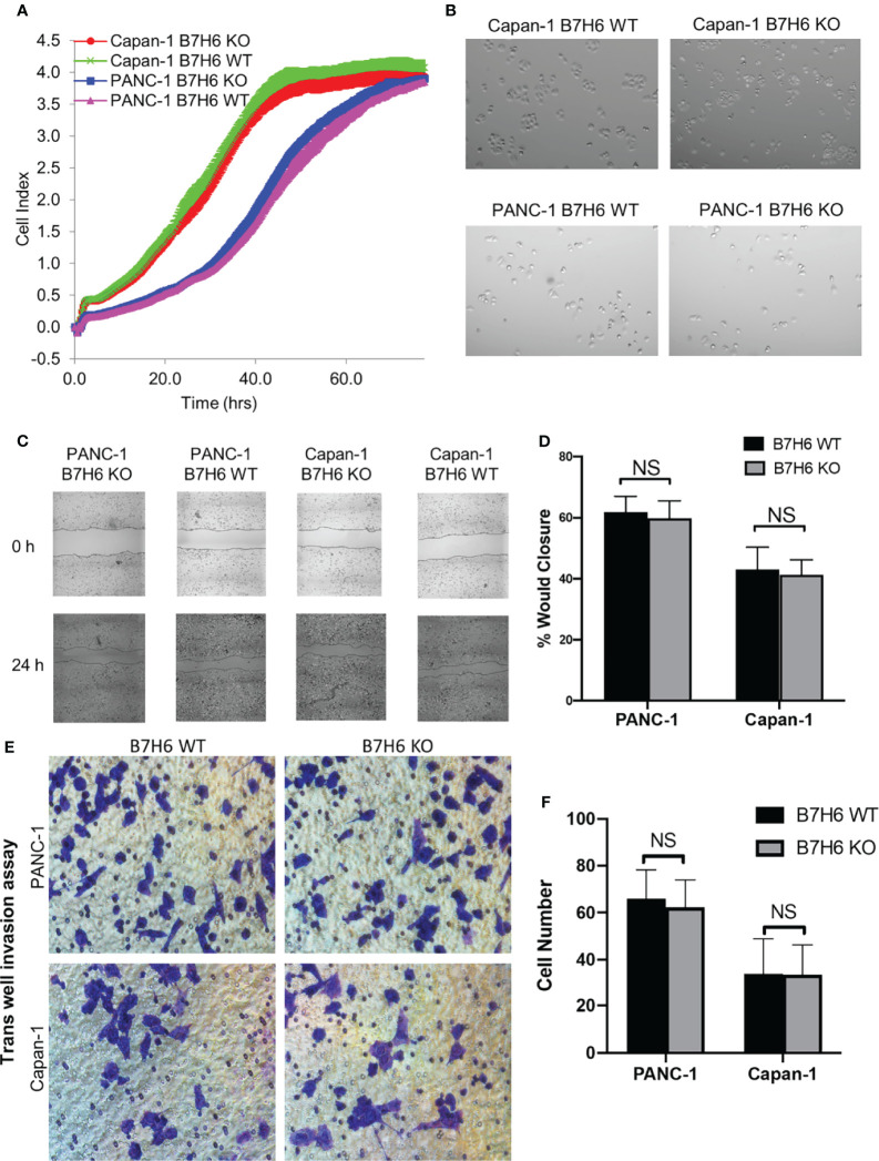 Figure 4