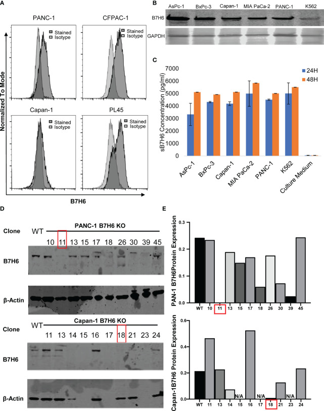 Figure 3