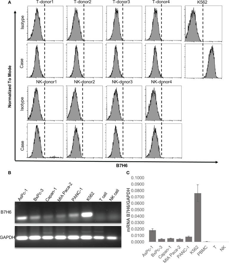 Figure 5