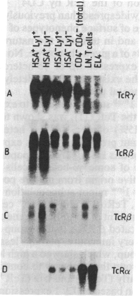 graphic file with name pnas00295-0335-a.jpg