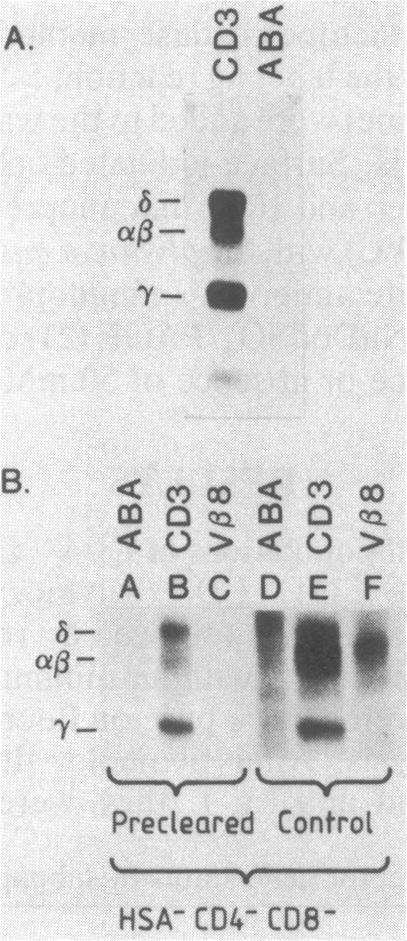 graphic file with name pnas00295-0334-a.jpg