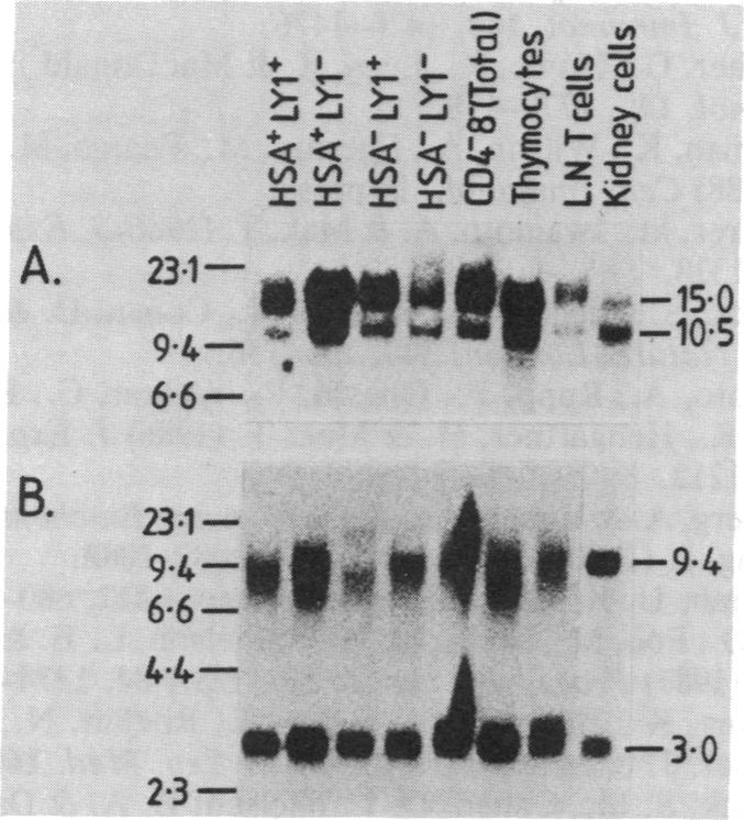 graphic file with name pnas00295-0335-b.jpg