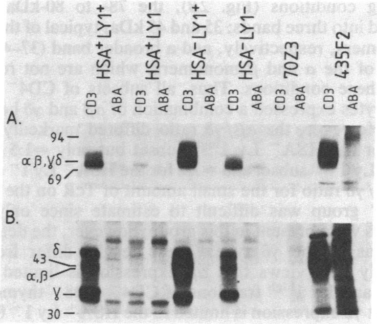 graphic file with name pnas00295-0333-a.jpg