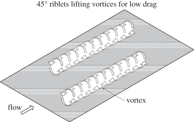 Figure 11.