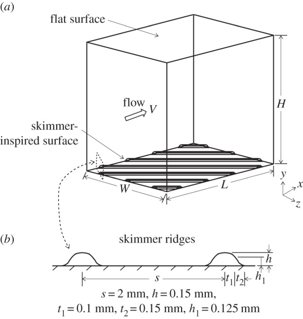 Figure 7.