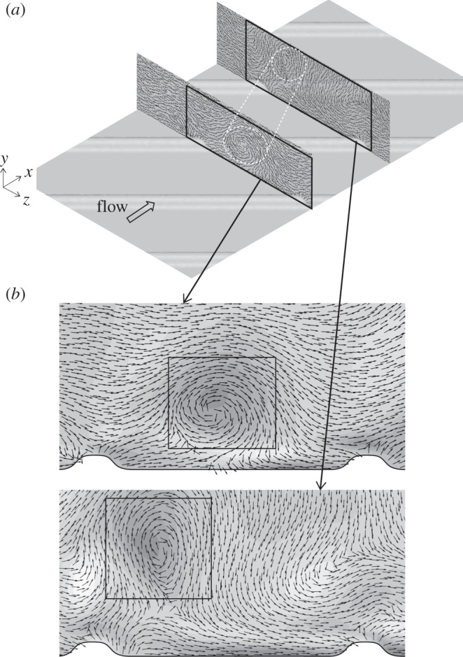 Figure 10.