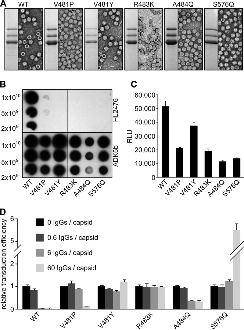 FIG 6