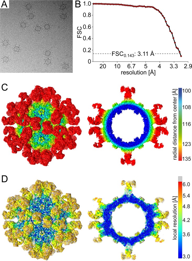 FIG 2