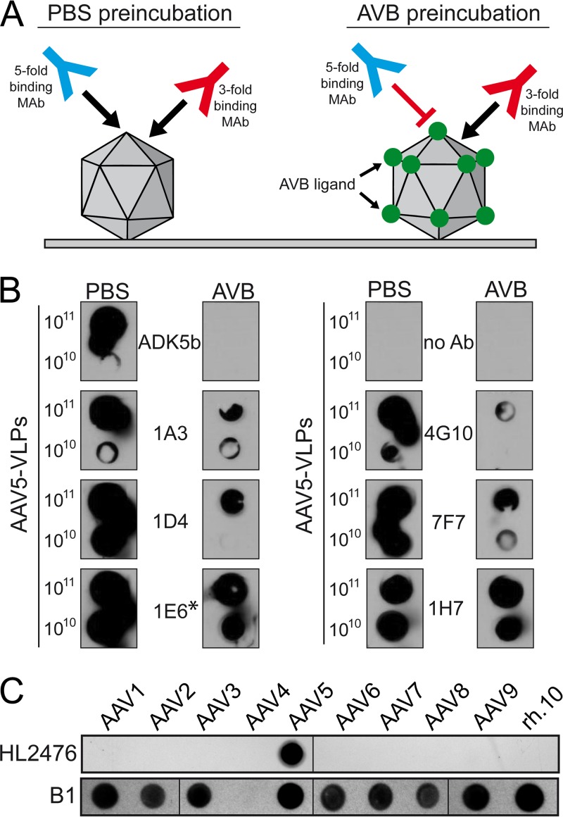 FIG 1