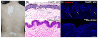 Figure 23
