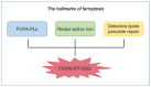 Figure 20