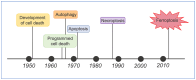 Figure 19