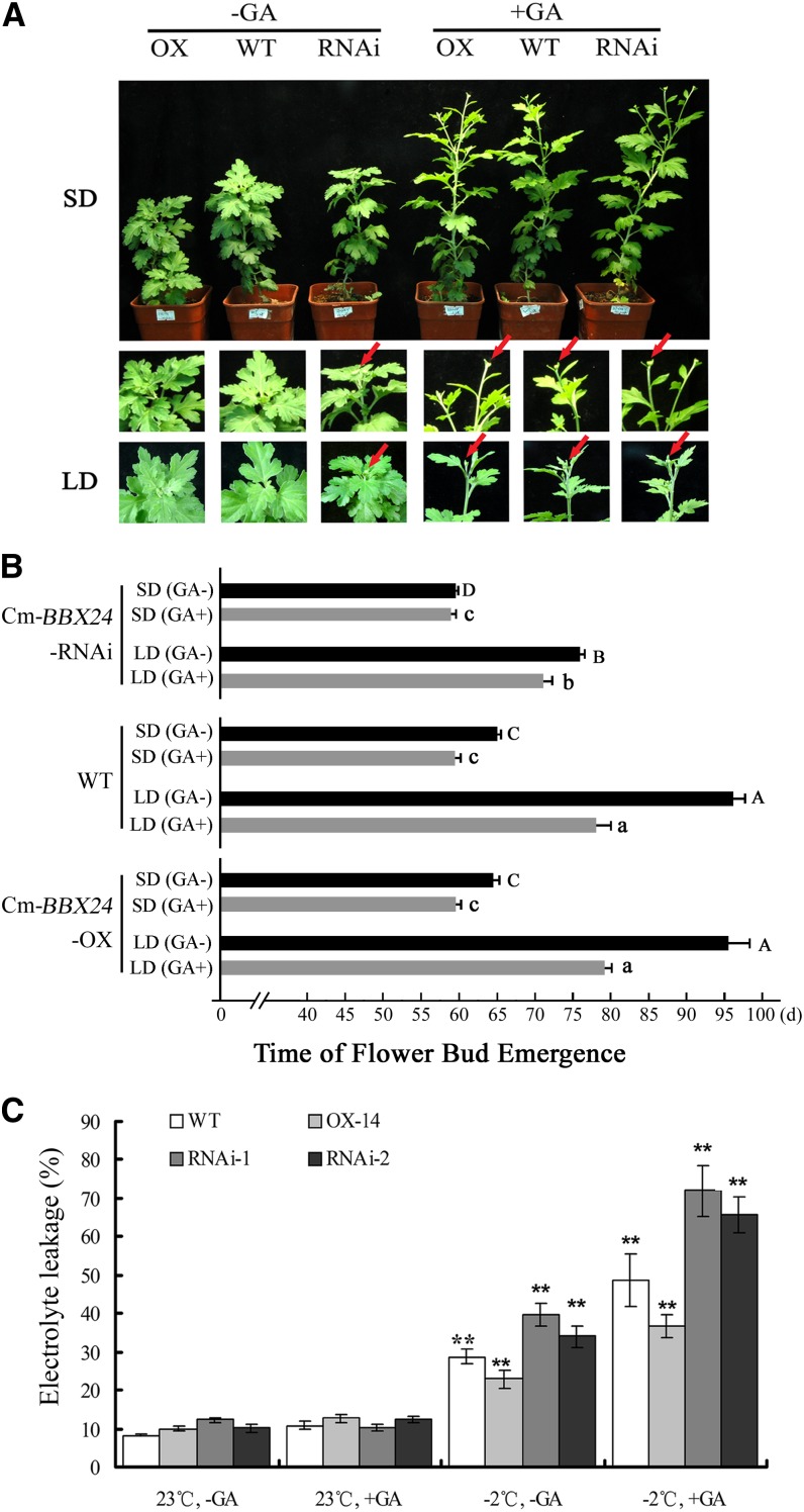 Figure 6.