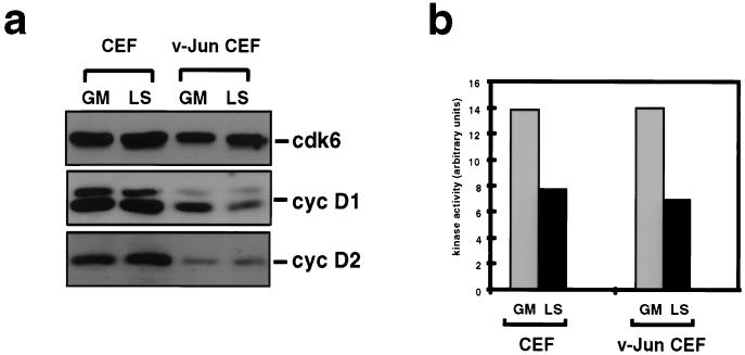 FIG. 6